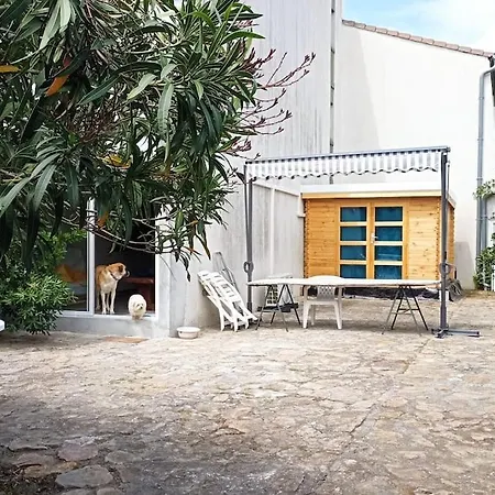 Daire Le Toucan - Jardin 140 M Carre Le Grau-du-Roi