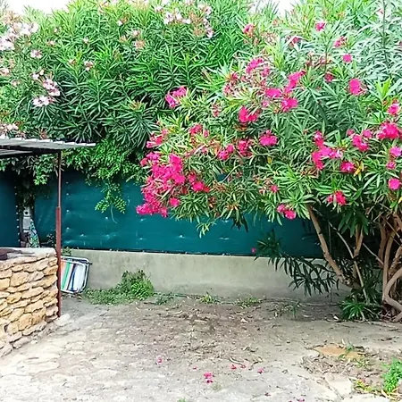 Daire Le Toucan - Jardin 140 M Carre *